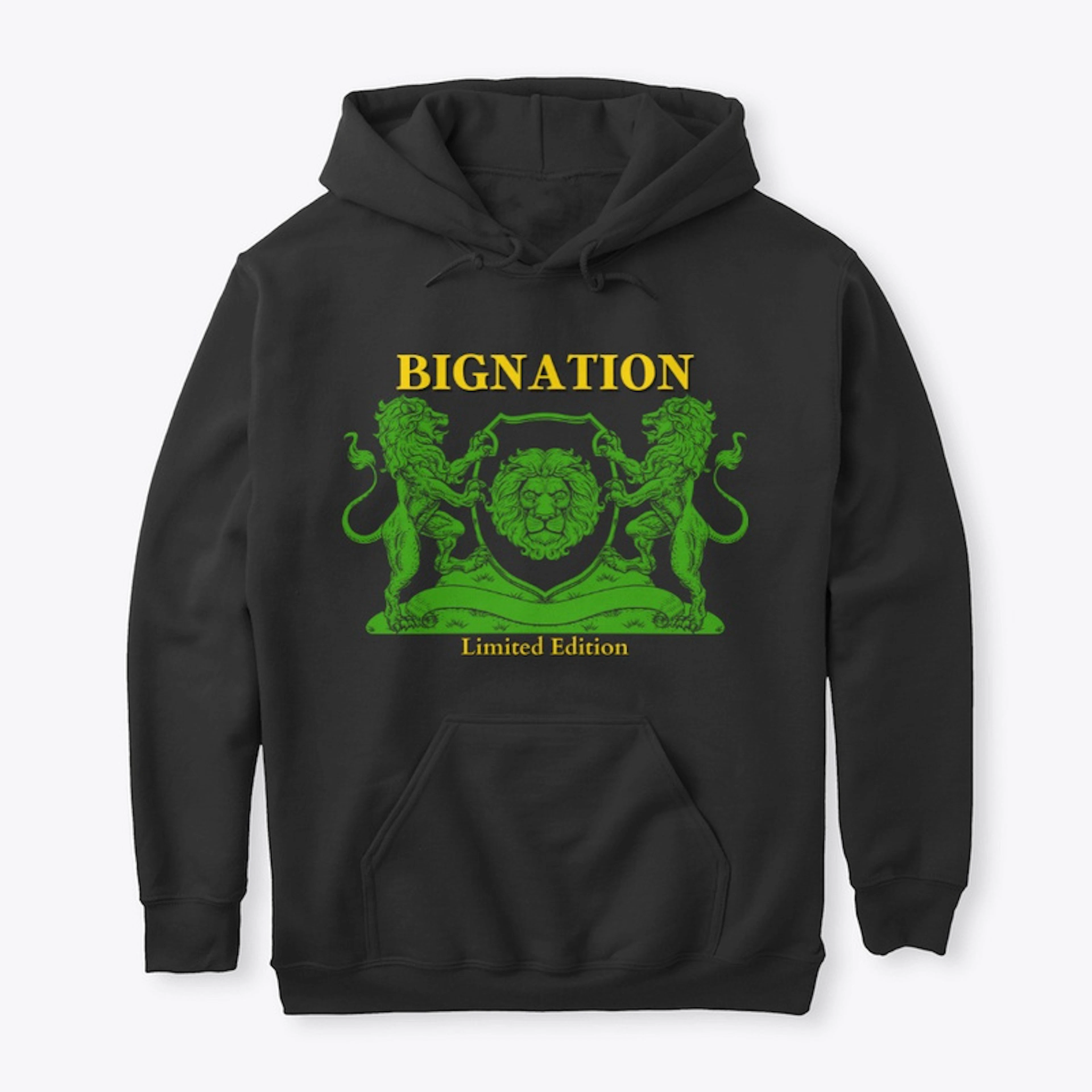 Bignation Limited 