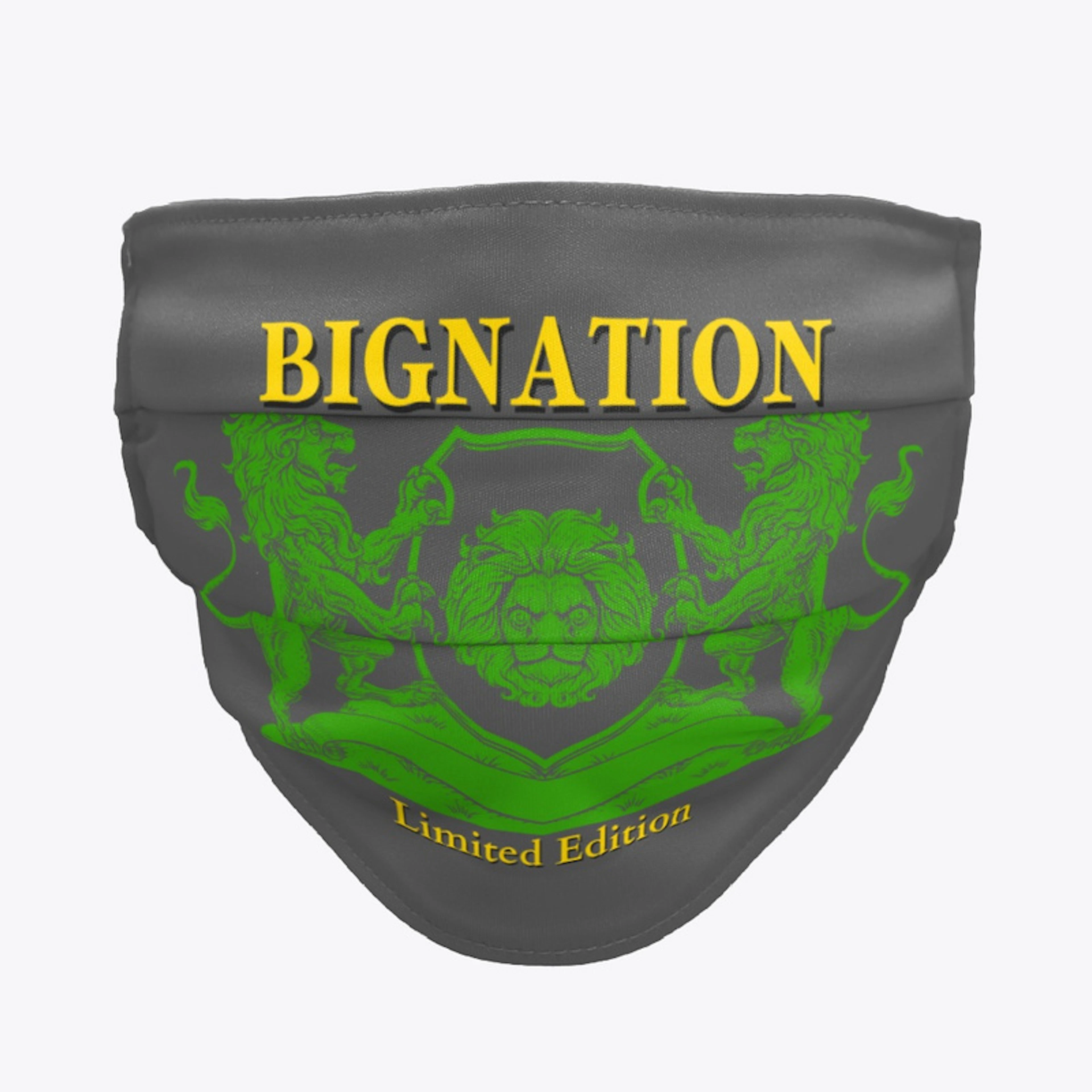 Bignation Limited 