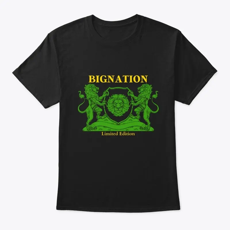 Bignation Limited 