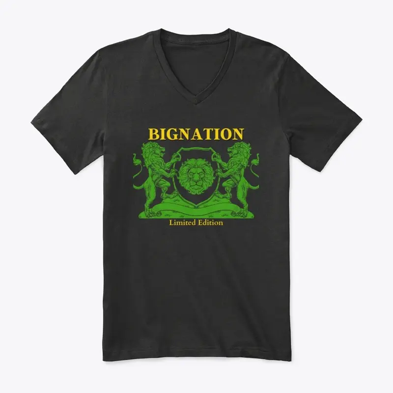 Bignation Limited 